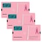 Original E-Z Grader Breast Cancer Pink E-Z Grader, PK3 5703PINK - alternate 1